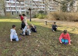 IMG_4084.jpeg