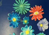 IMG_4150.jpeg