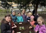 IMG_4946.jpg