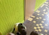 IMG_1018.jpeg
