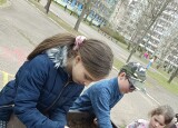 SÁZÍME ZELENINU  (8).jpg