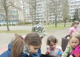 SÁZÍME ZELENINU  (9).jpg