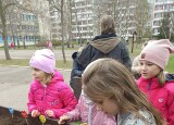 SÁZÍME ZELENINU  (2).jpg