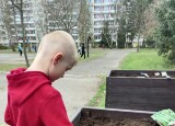 SÁZÍME ZELENINU  (13).jpg