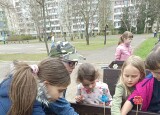 SÁZÍME ZELENINU  (10).jpg