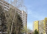 IMG_0819.jpg