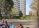 IMG_0799.jpg
