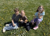 IMG_5099.jpg