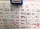20250423_092008.jpg