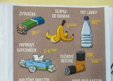 IMG_1107.jpg