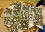 dEN zEMĚ - RECYKLACE (4).jpg