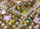 dEN zEMĚ - RECYKLACE (3).jpg