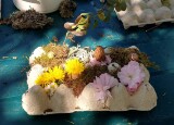 dEN zEMĚ - RECYKLACE (12).jpg