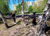 20250428_133204.jpg