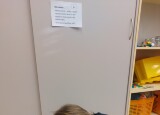 20250416_081116.jpg