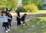 IMG_4378.jpeg
