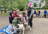IMG_4482.jpeg