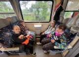 IMG_1311.jpeg
