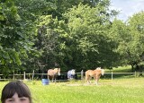 IMG_1213.jpeg