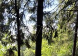 IMG_1964.jpg