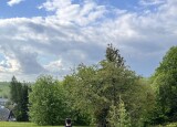 IMG_1994.jpg