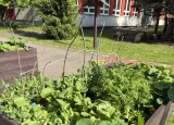 IMG_5446.jpg