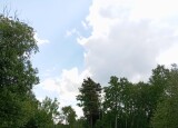 24337216-2bc4-47cb-a8cd-911378d16e9b.JPG