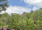 IMG_1742.jpeg