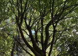 IMG_1925.jpeg