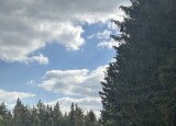 IMG_1762.jpeg