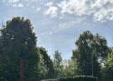 IMG_1830.jpeg