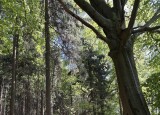 IMG_1926.jpeg