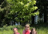 IMG_2024.jpg