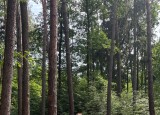 IMG_2305.jpg