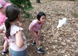 O lese v lese s LČR (11).jpg