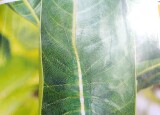 20250604_141631.jpg