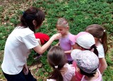 O lese v lese s LČR (7).jpg