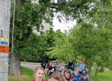 IMG_20250527_125536.jpg