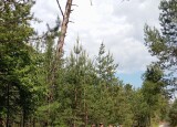 IMG_20250527_141522.jpg