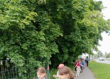 IMG_20250527_125632.jpg