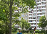 IMG_2370.jpg