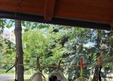 IMG_2399.jpg