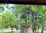 IMG_2394.jpg
