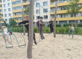 LANOVÉ HŘIŠTĚ U BILLY (3).jpg