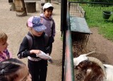 20250611_110513.JPG