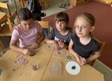 IMG_5683.jpg