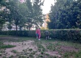 20250612_190928.jpg