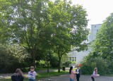 IMG_20250610_102245.jpg