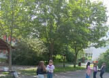 IMG_20250610_102242.jpg