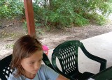 IMG_20250610_140337.jpg